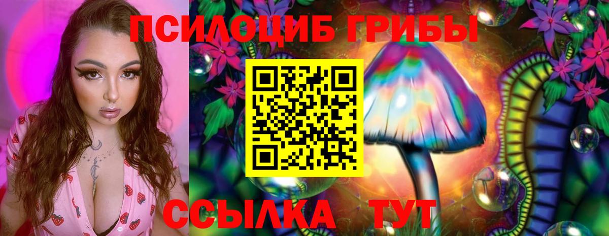 Псилоцибиновые грибы GOLDEN TEACHER Осинники