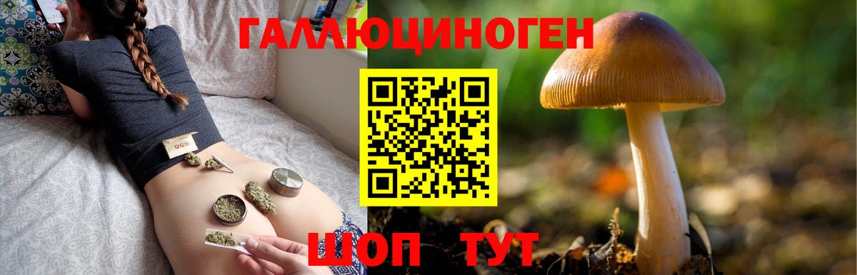Осинники  Псилоцибиновые грибы MAGIC MUSHROOMS  Вход с VPN  Псилоцибиновые грибы мицелий 